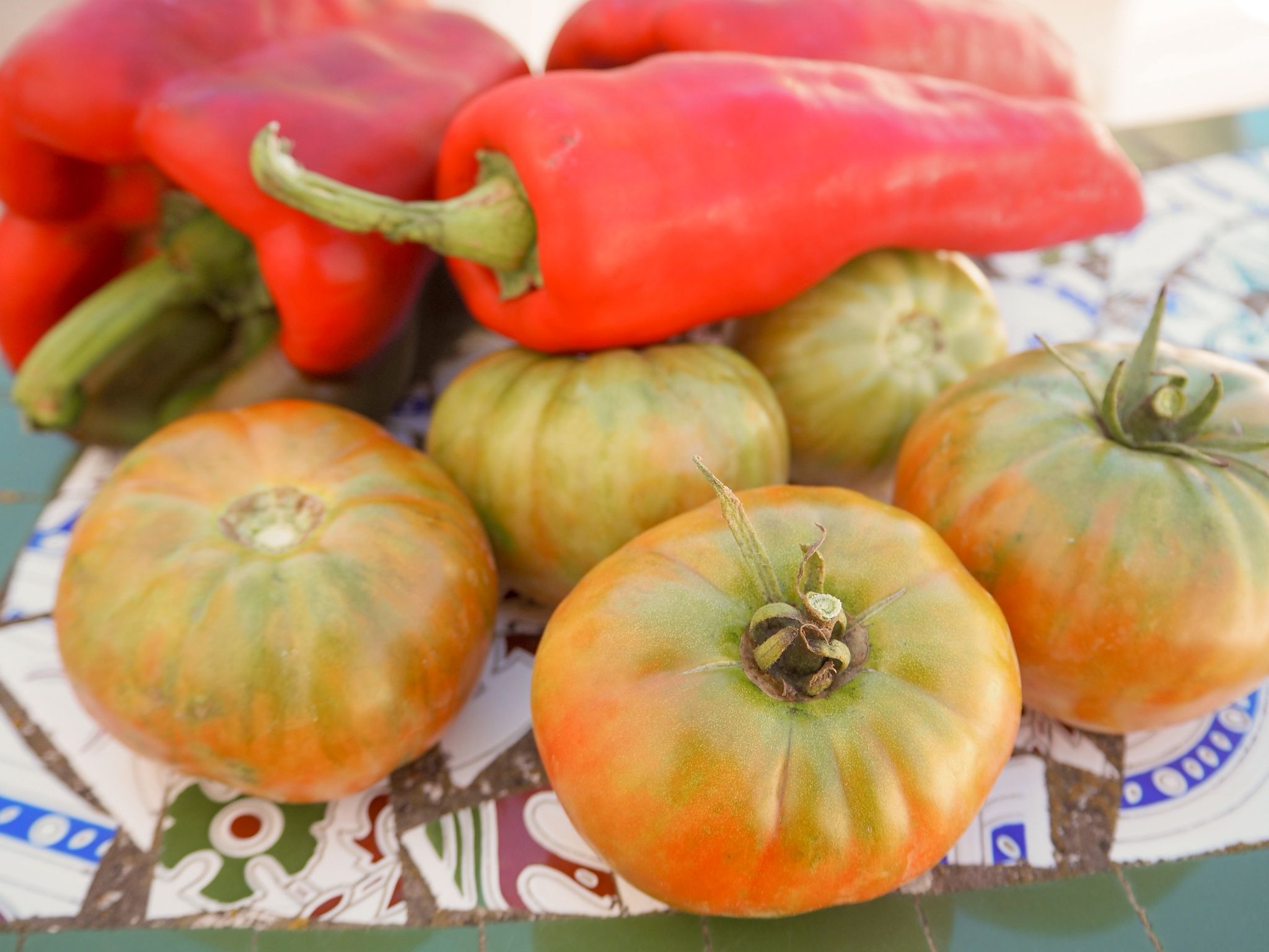 Tomates y pimientos del huerto